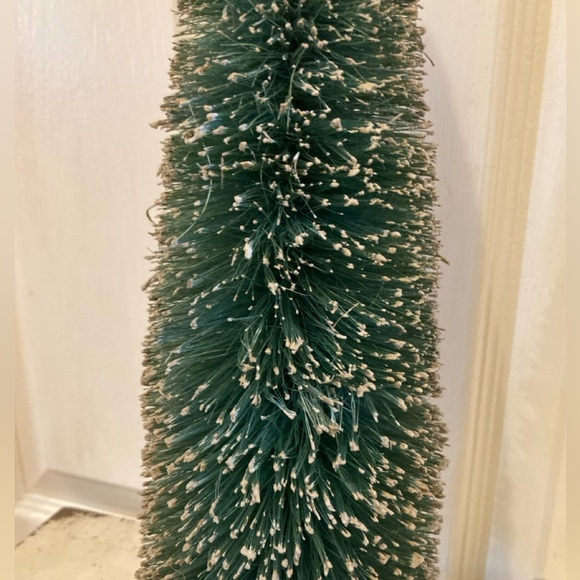 Bottlebrush Tree - Picture 2 of 3